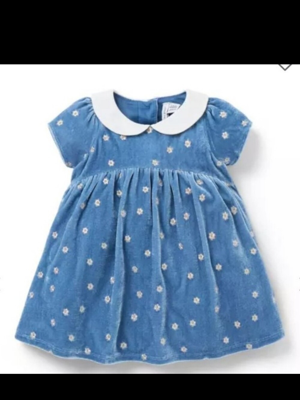 Janie and Jack Blue Embroidered Flower Velvet Dress
